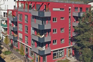 Franz19 170215 web