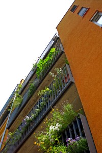 IMG 4801 170220 web